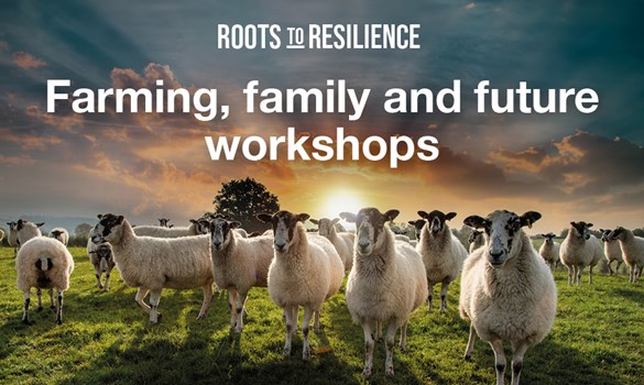Graphic with sheep and text stating: Farming, family and future workshops.